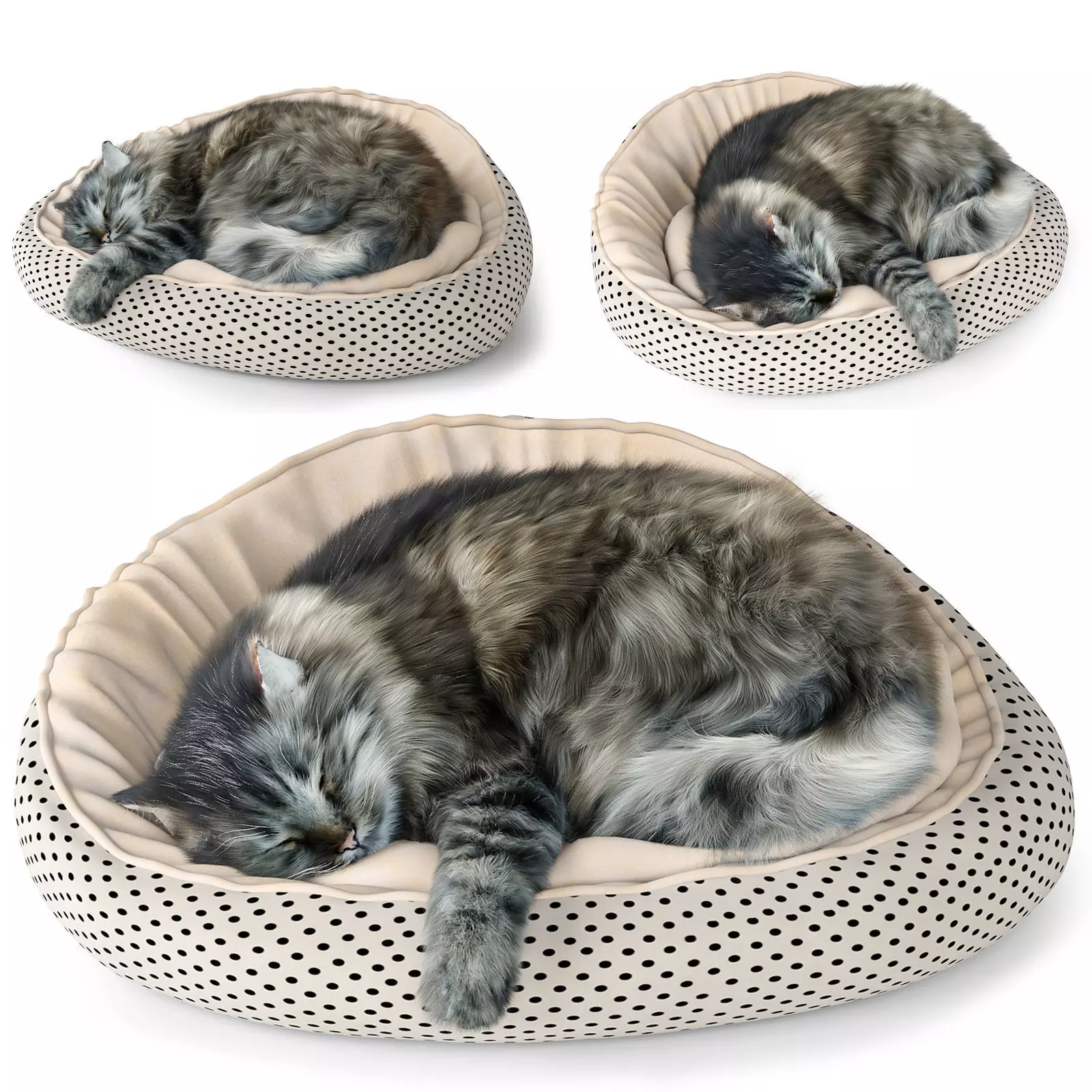 Sleeping Cat 3D model_0