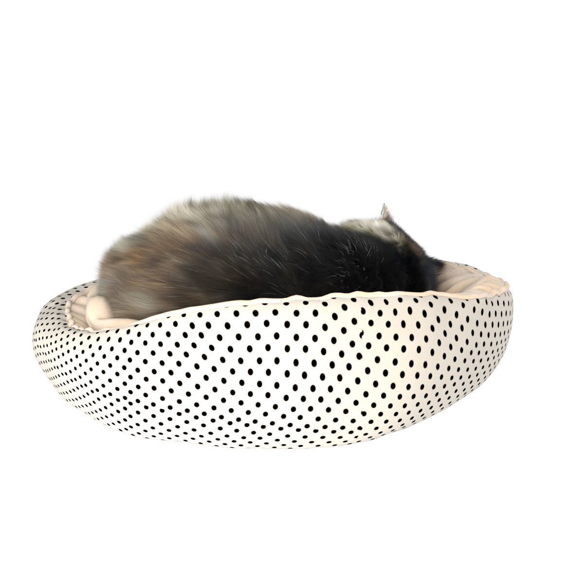 Sleeping Cat 3D model_10