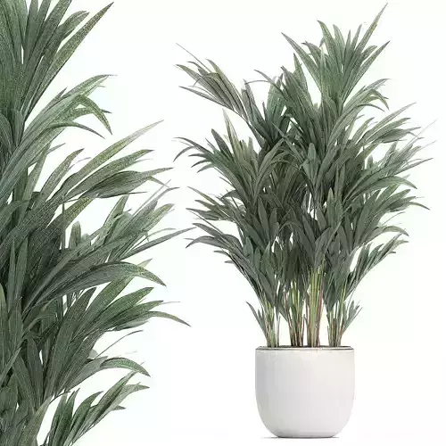 Decorative palm in a white flowerpot 612