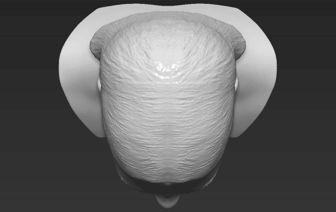 Dua Lipa bust 3D printing ready stl obj formats 3D print model_15