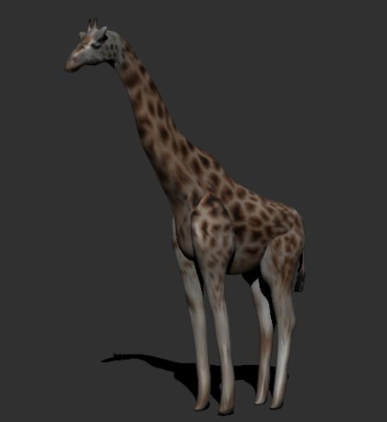 Giraffe 3D model_7
