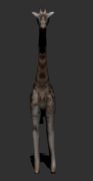 Giraffe 3D model_6