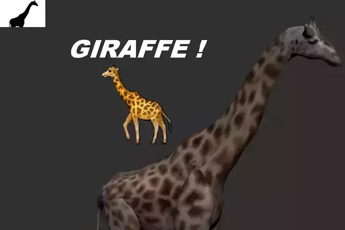 Giraffe
