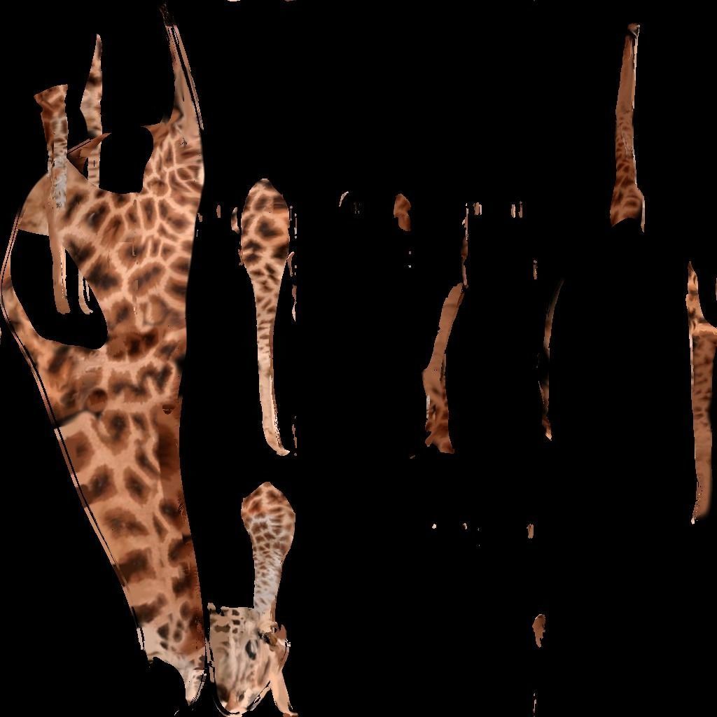Giraffe 3D model_9