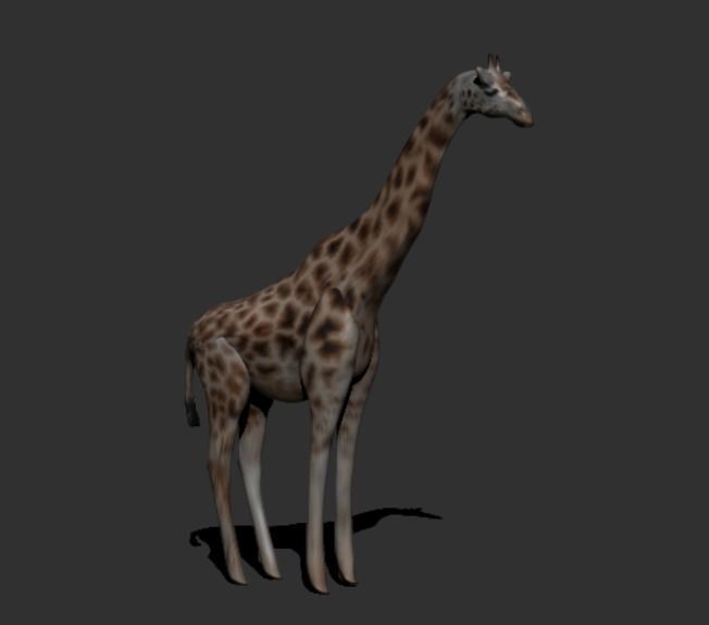 Giraffe 3D model_5