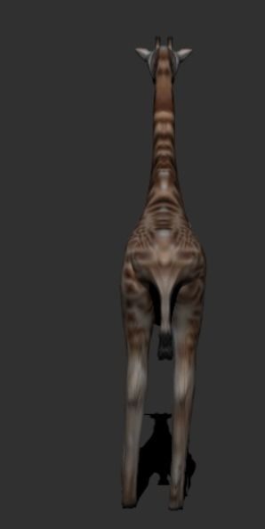 Giraffe 3D model_8