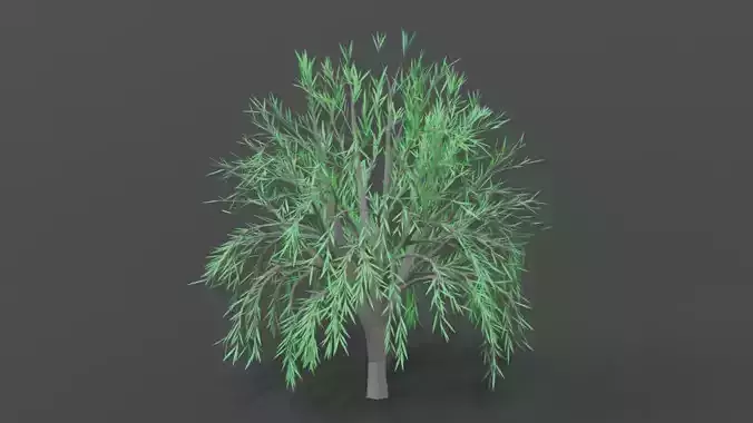 Low Poly Cartoon Tree