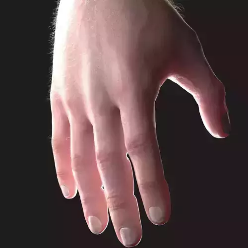 Realistic hand CG Low-poly 3D model