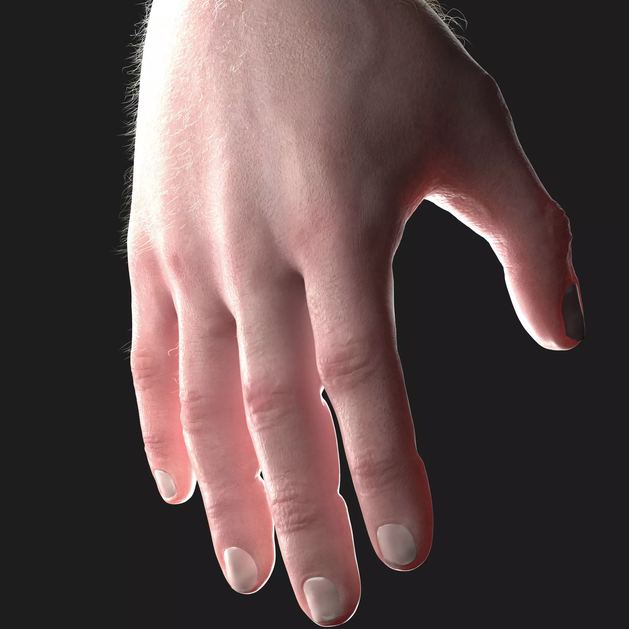 Realistic hand CG Low-poly 3D model Low-poly 3D model