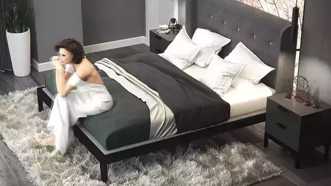 bedroom and dressing room