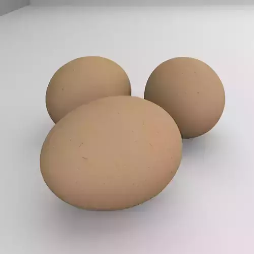 Chicken Eggs