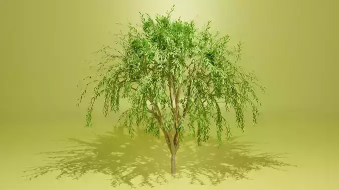 Tree low poly willow