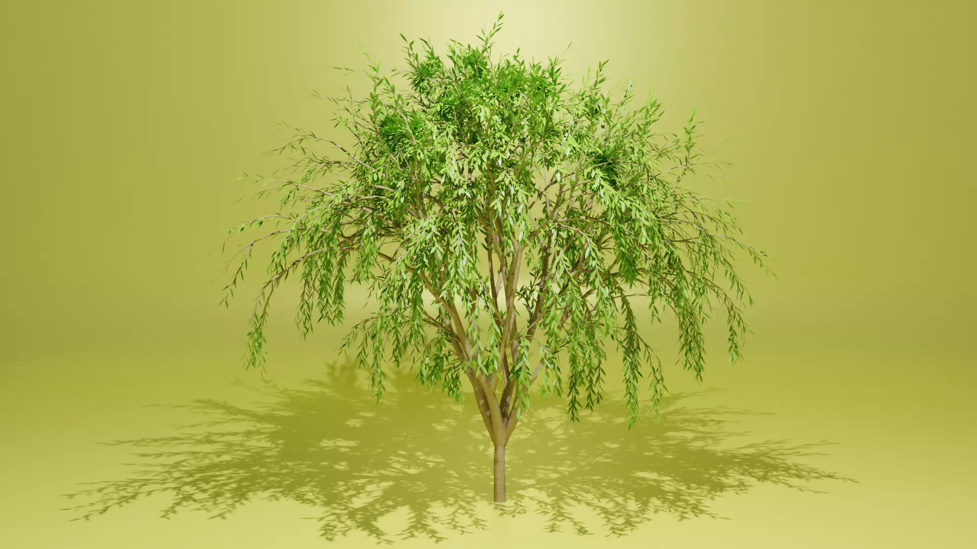 Tree low poly willow Free low-poly 3D model