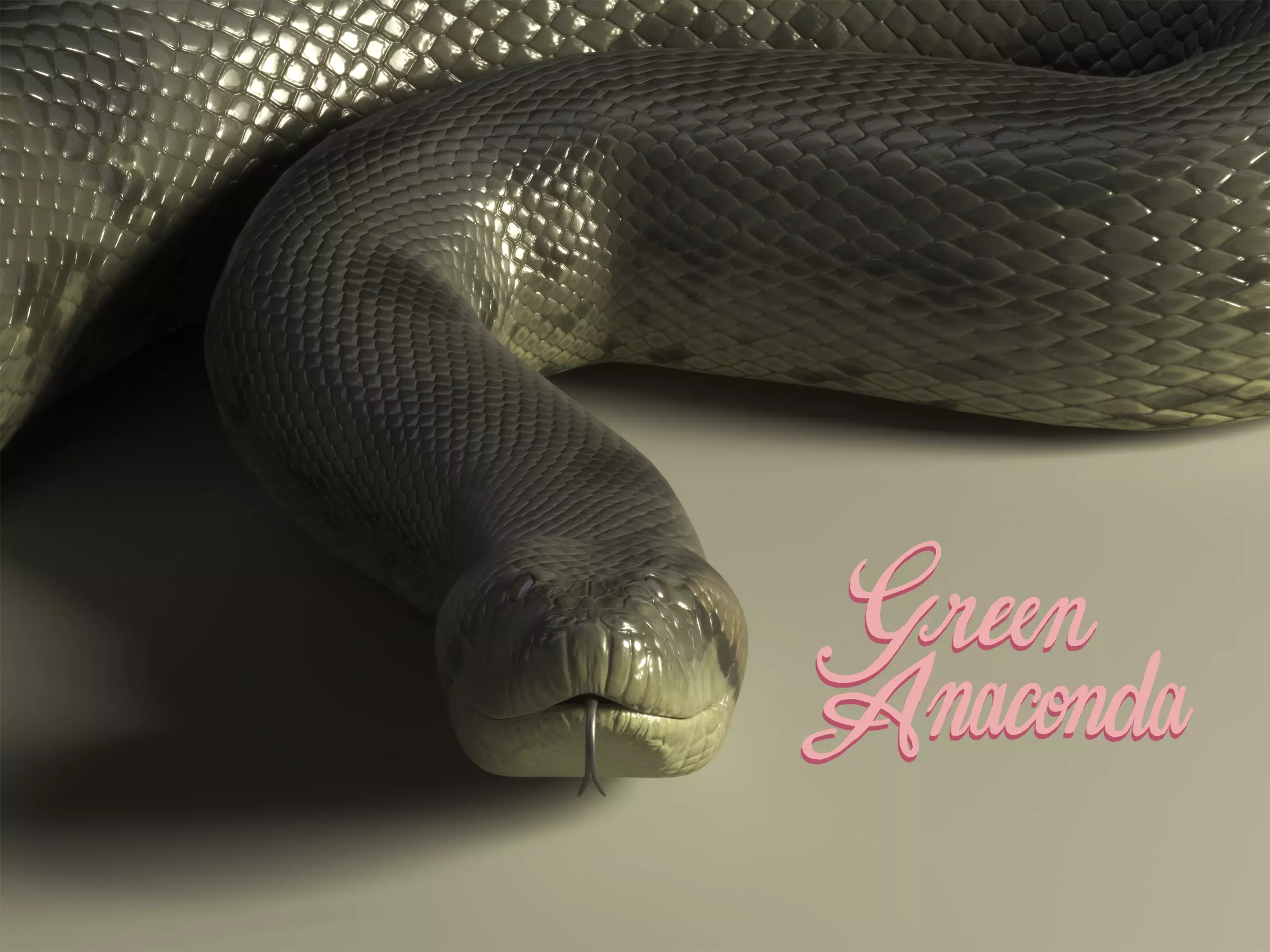 Green Anaconda Low-poly 3D model_0
