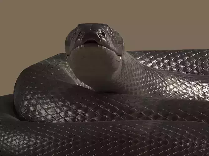 King Cobra Low-poly 3D model
