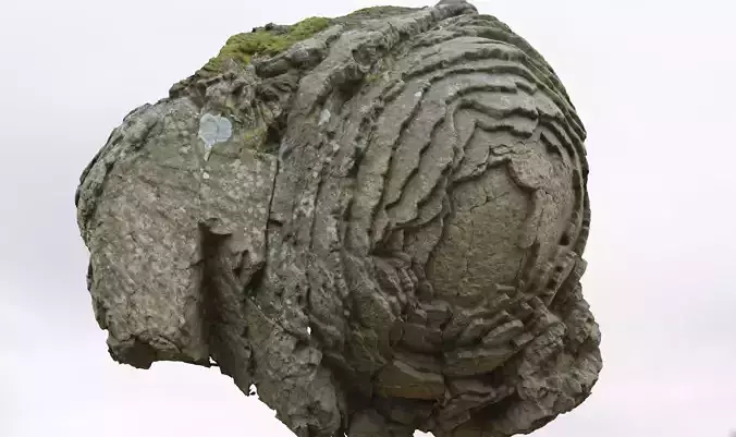 Stone Rose Free 3D model