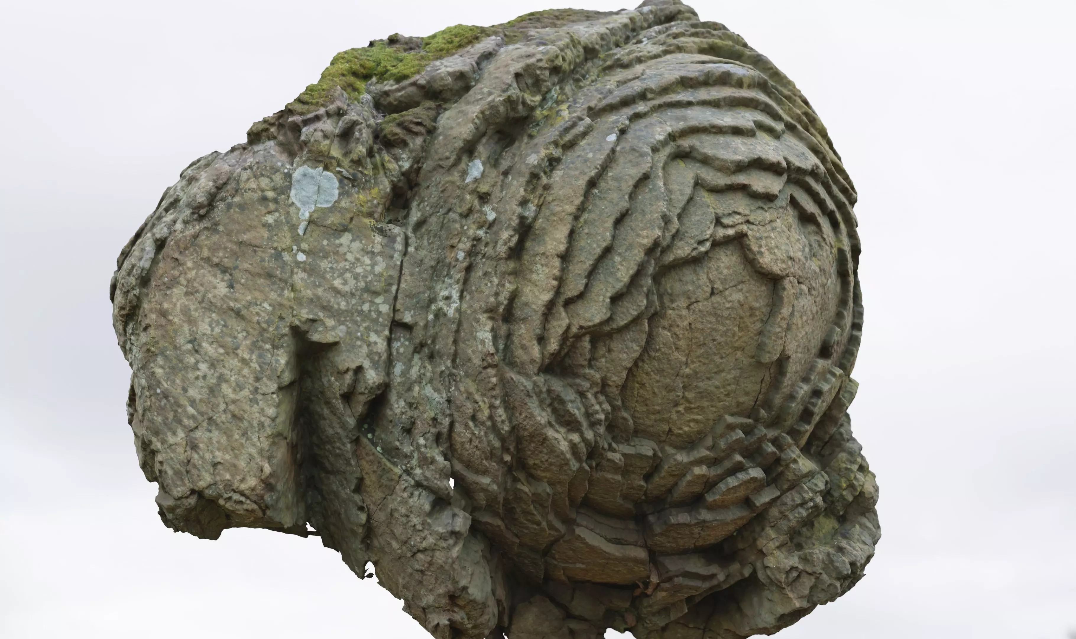 Stone Rose Free 3D model