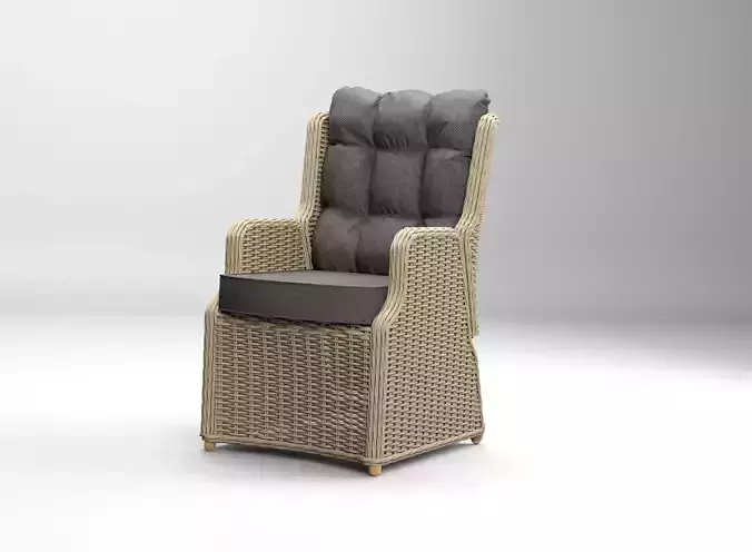 Wicker Garden Chair