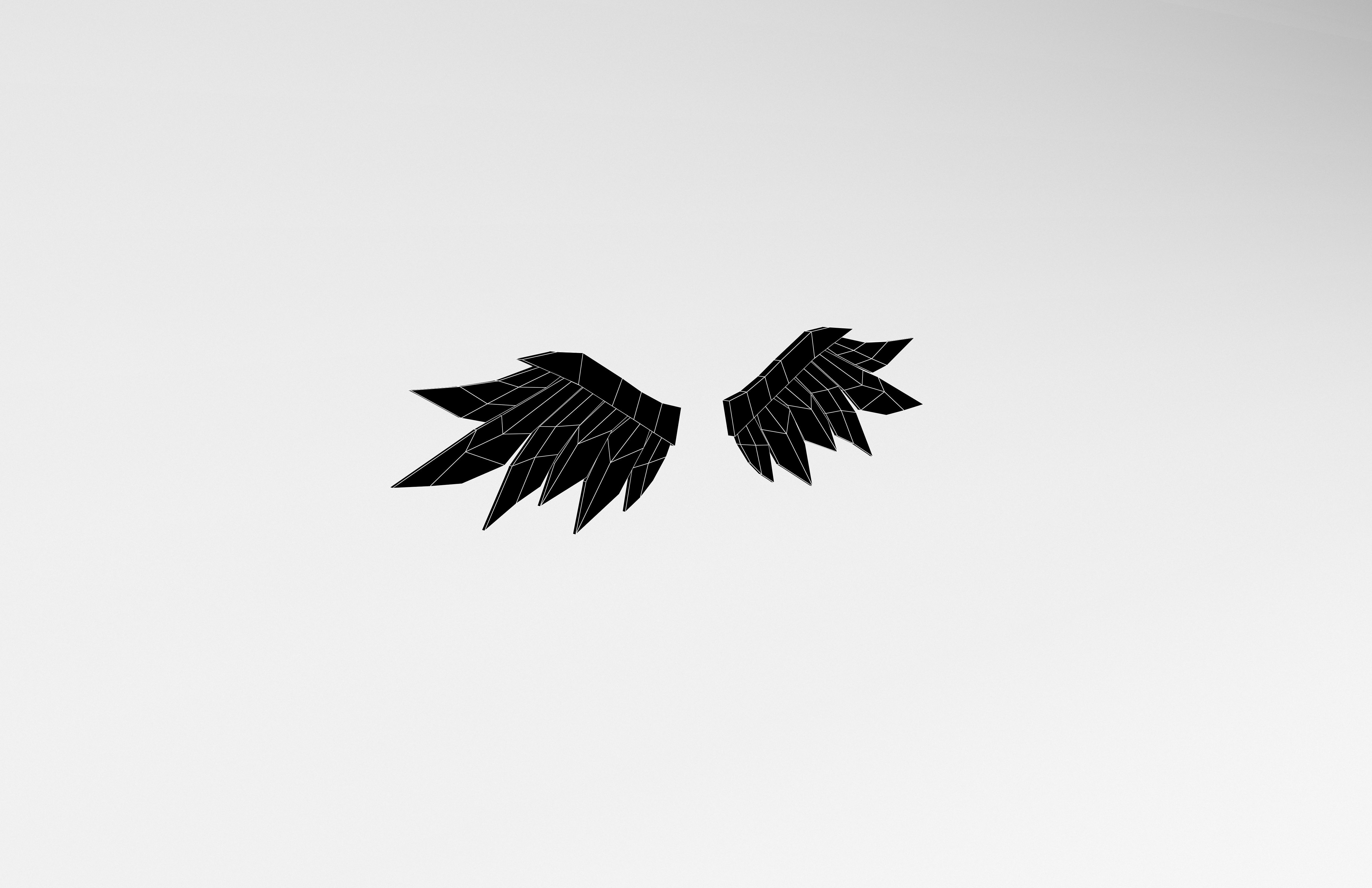 Low Poly Wings v1 005 Low-poly 3D model_7