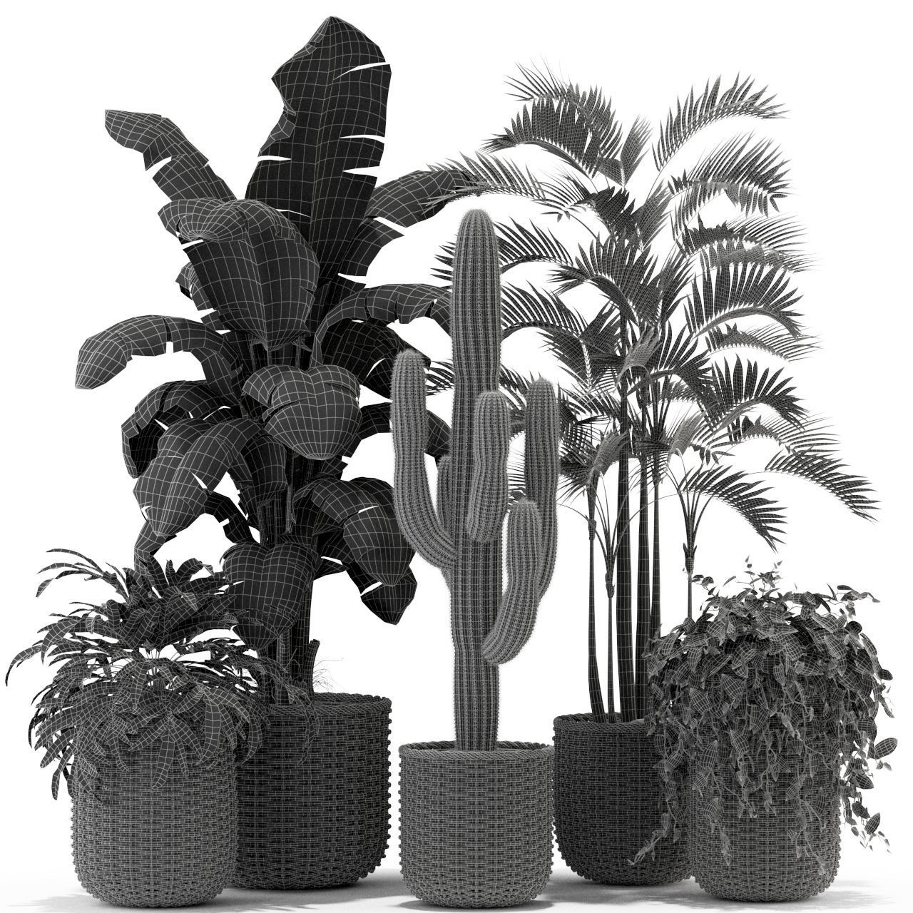 Plants collection 331 3D model_3