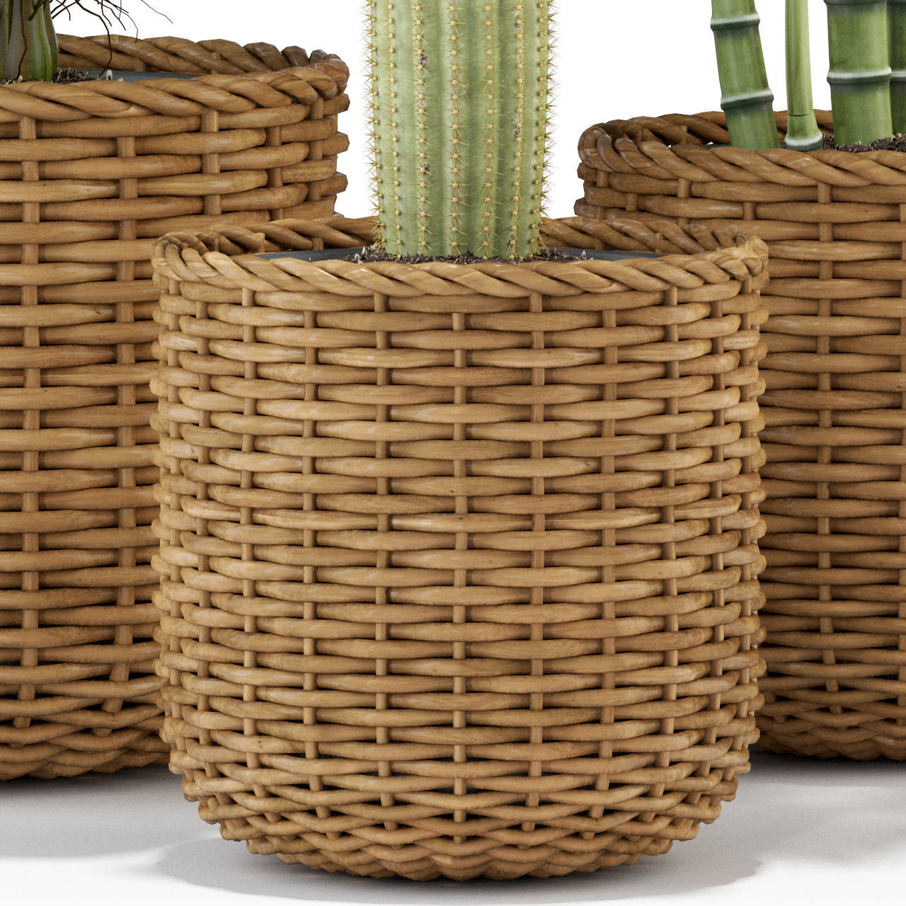 Plants collection 331 3D model_4