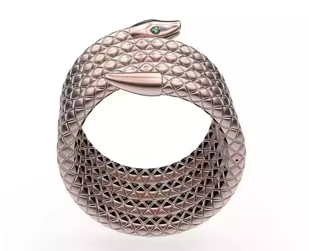 Bracelet Snake