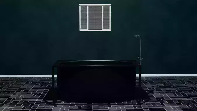 Modern Bathtub