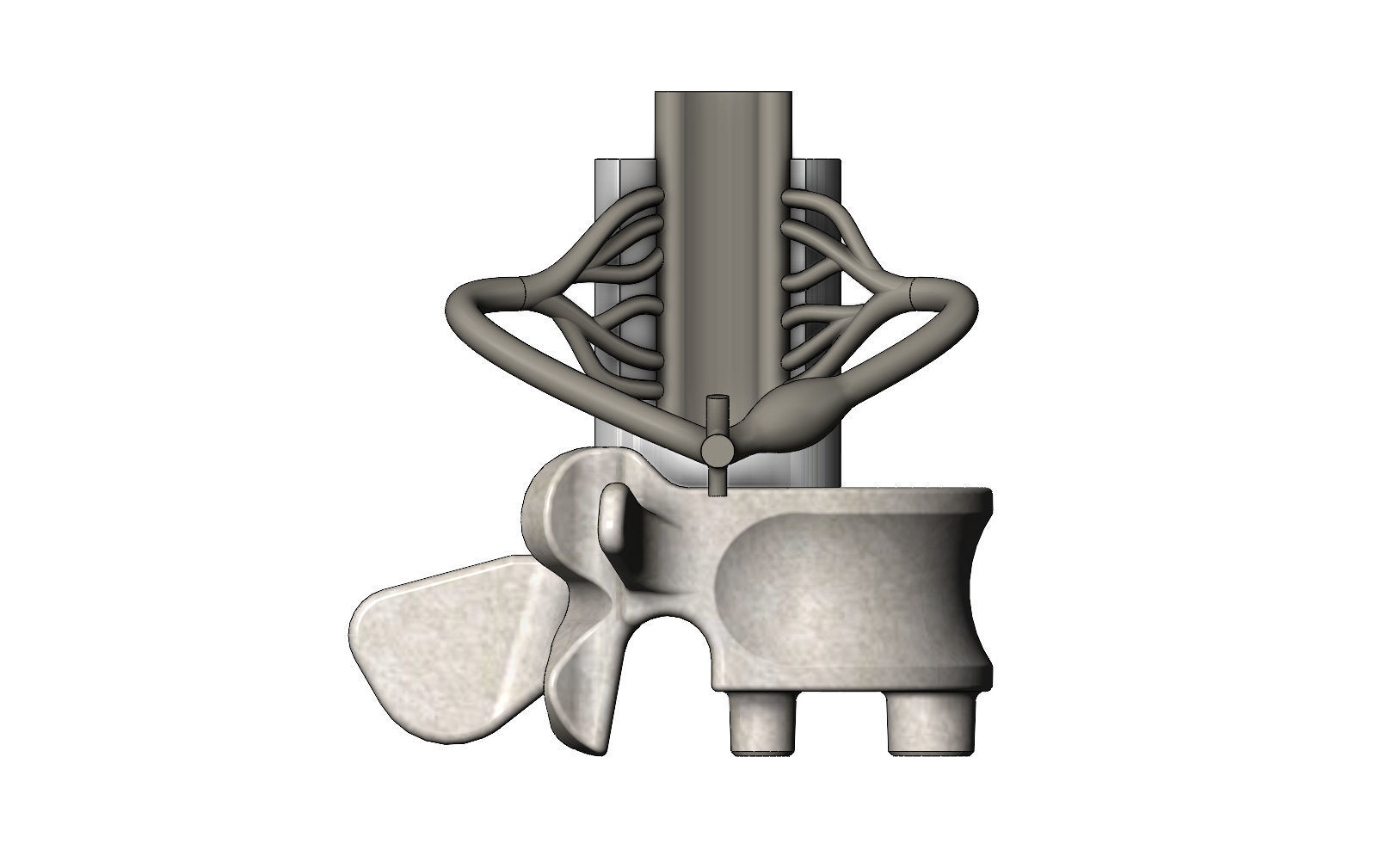 Simplified spinal cord cross section 3D print model_7