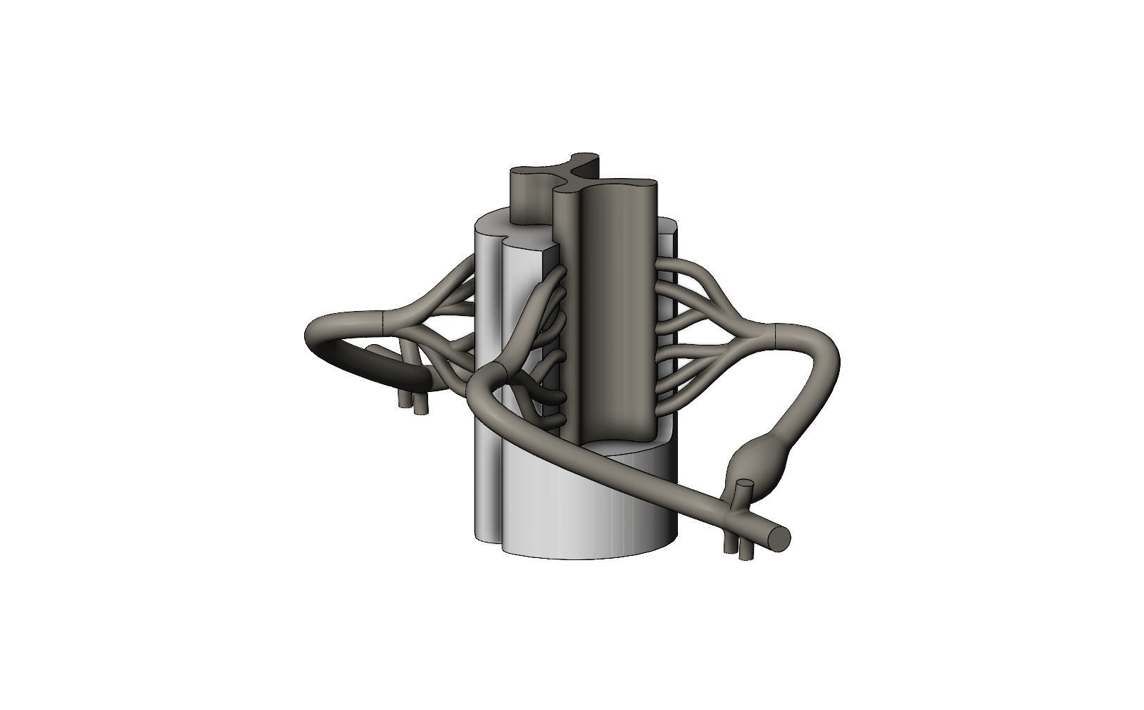 Simplified spinal cord cross section 3D print model_11