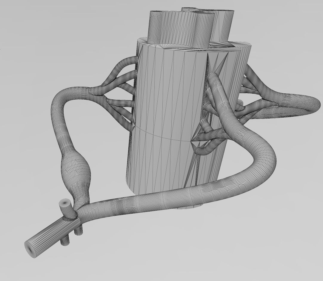Simplified spinal cord cross section 3D print model_17