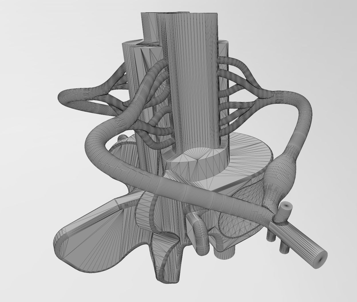 Simplified spinal cord cross section 3D print model_19