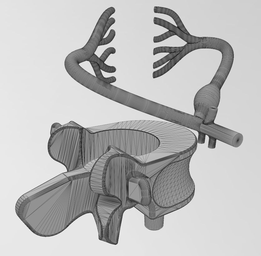 Simplified spinal cord cross section 3D print model_21