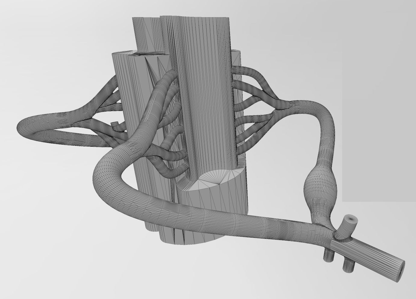 Simplified spinal cord cross section 3D print model_16