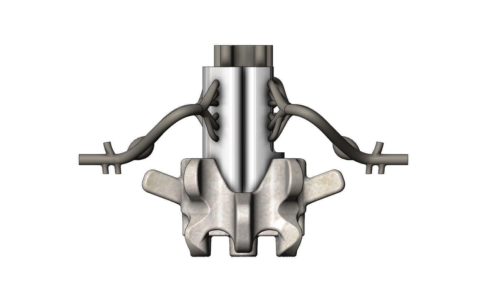 Simplified spinal cord cross section 3D print model_4