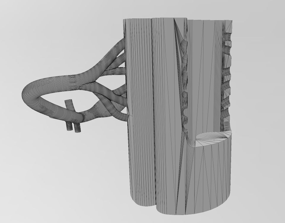 Simplified spinal cord cross section 3D print model_22