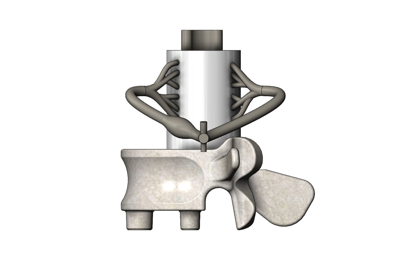 Simplified spinal cord cross section 3D print model_8