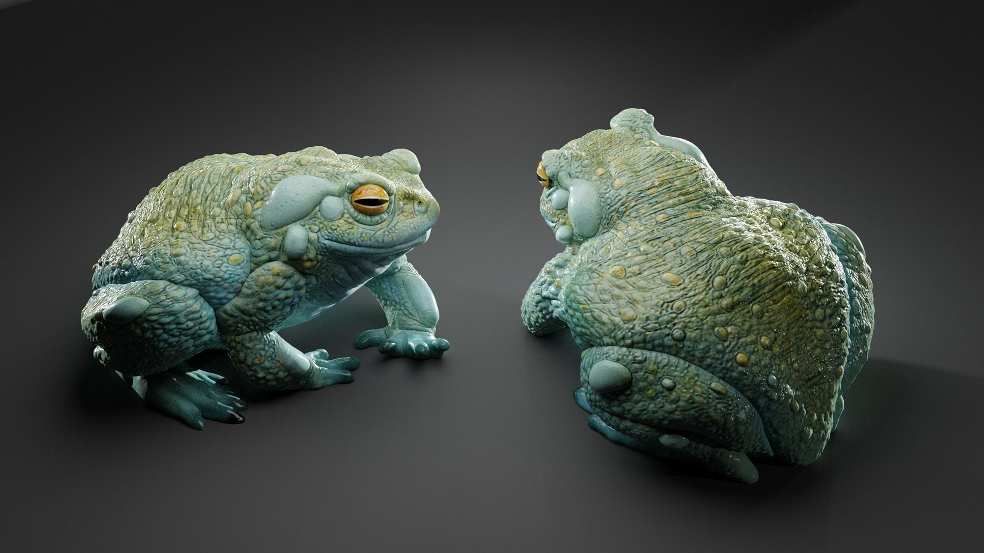 Bufo Alvarius - Sonoran Desert Toad 3D print model_2