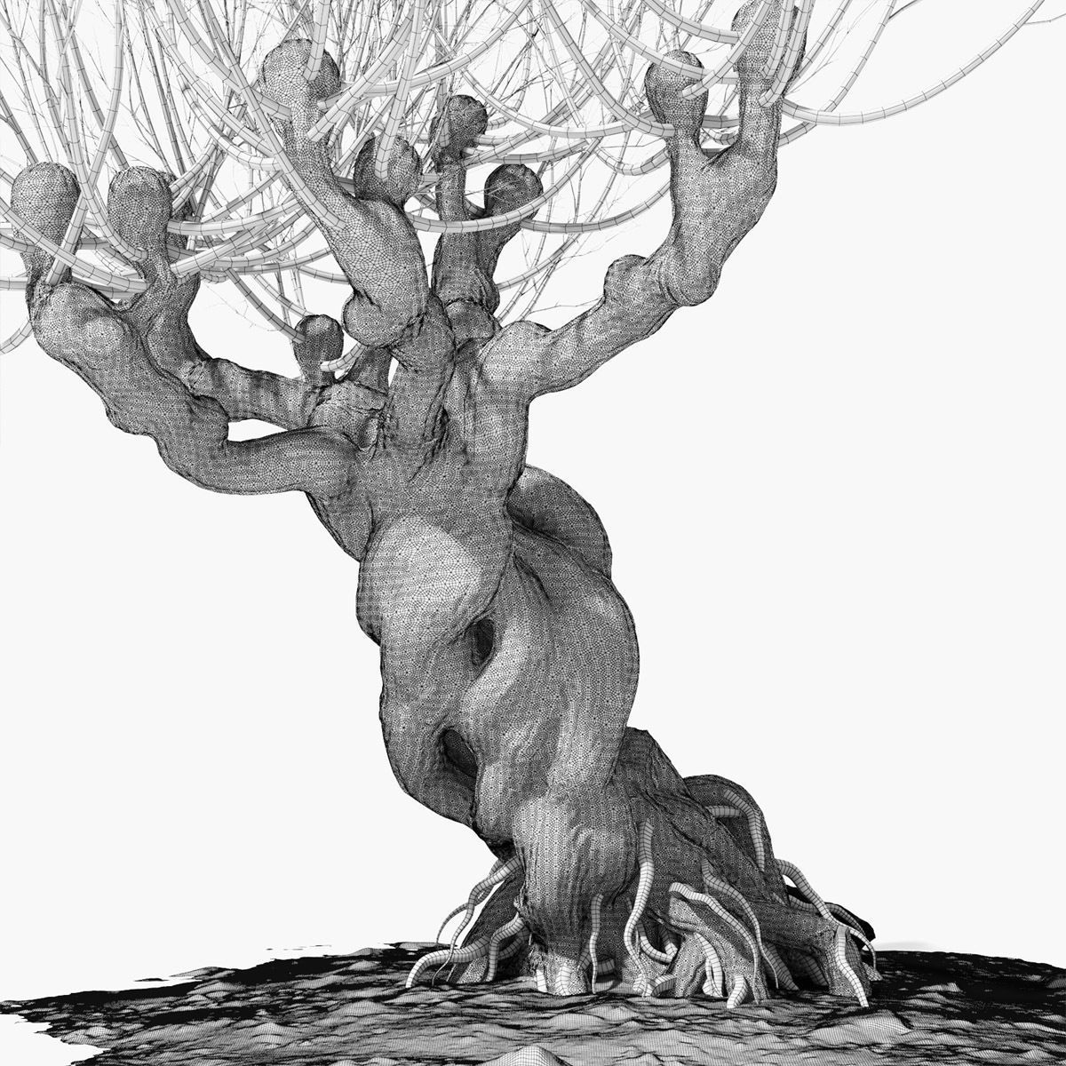 Willow old tree 3D model_17