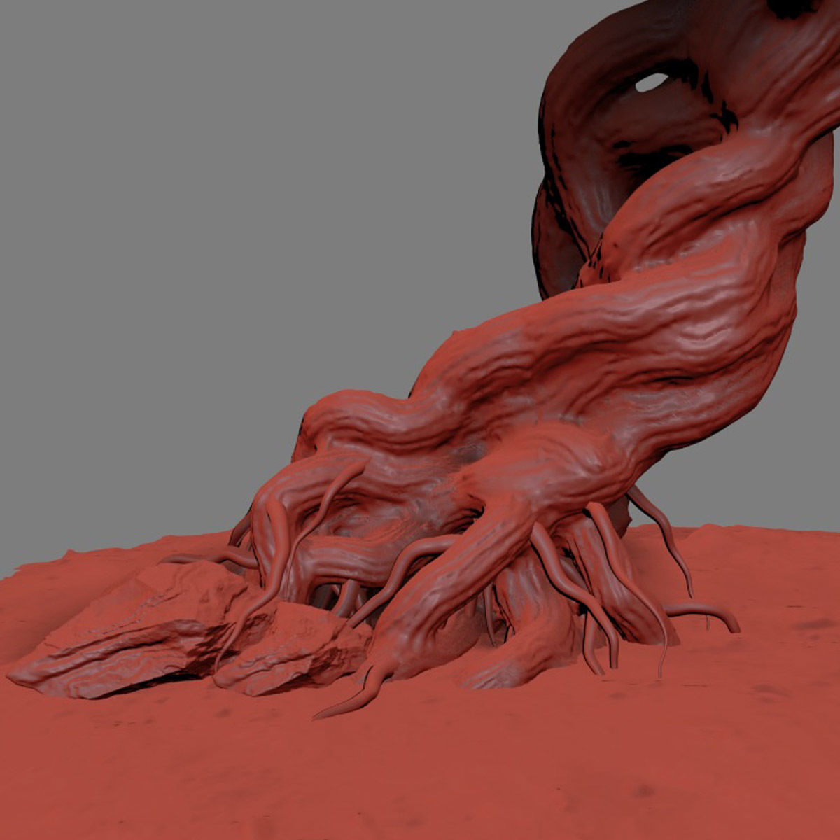 Willow old tree 3D model_15