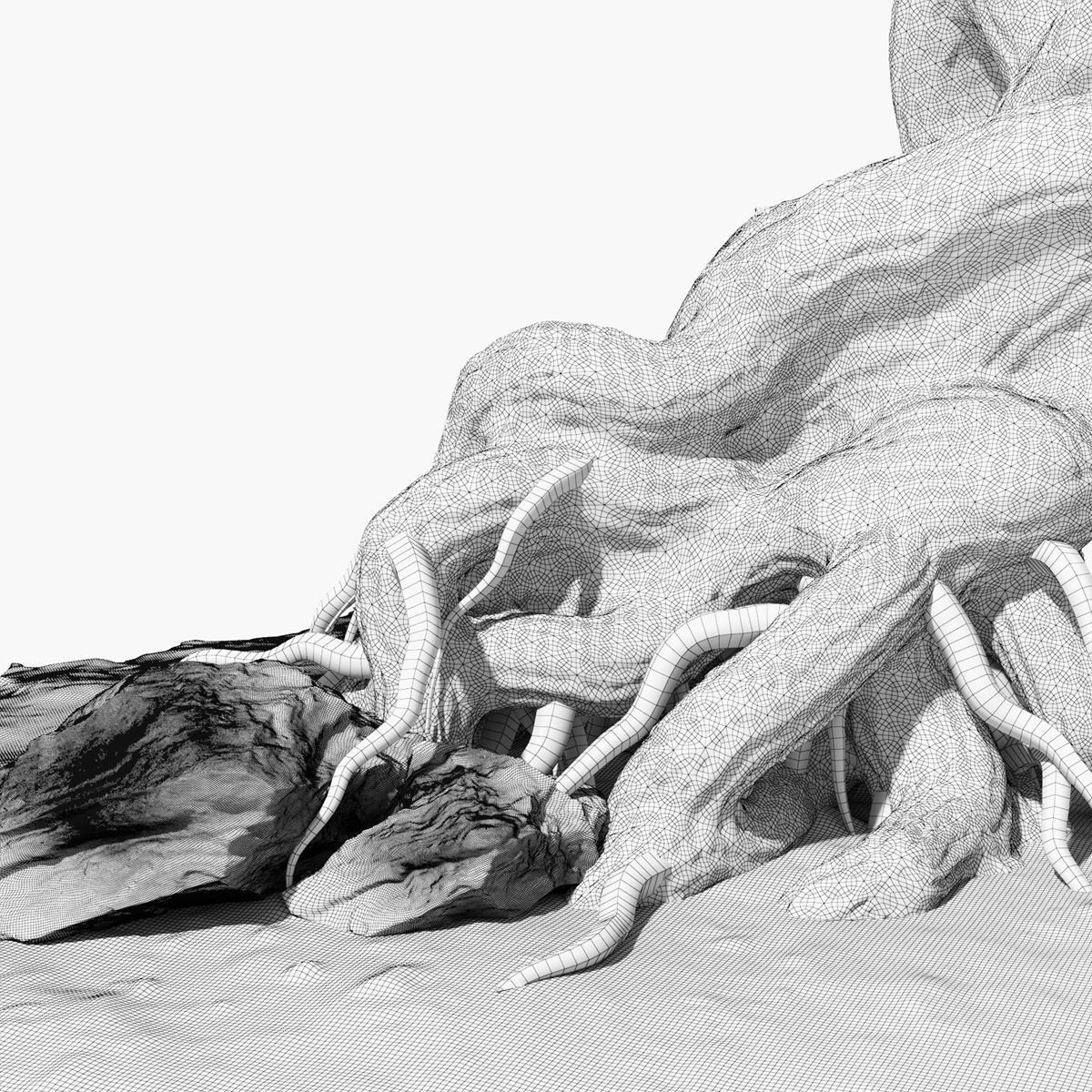 Willow old tree 3D model_18