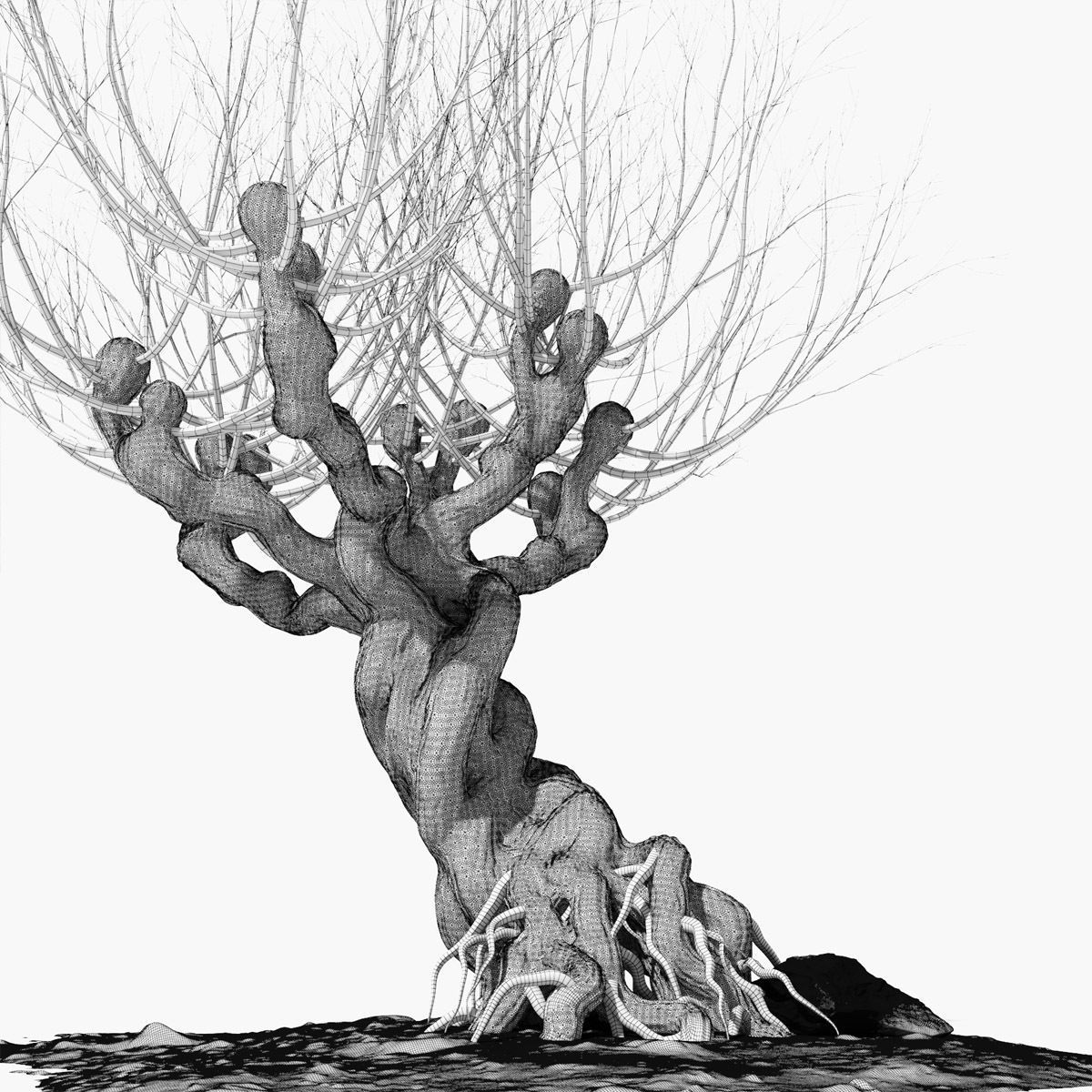 Willow old tree 3D model_16