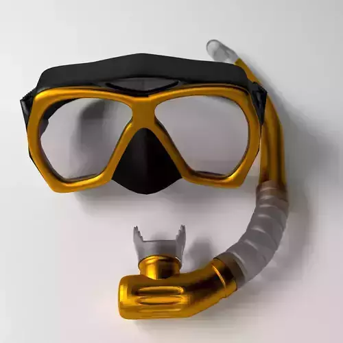 Snorkel and Mask