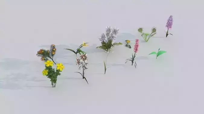 Rare flowers