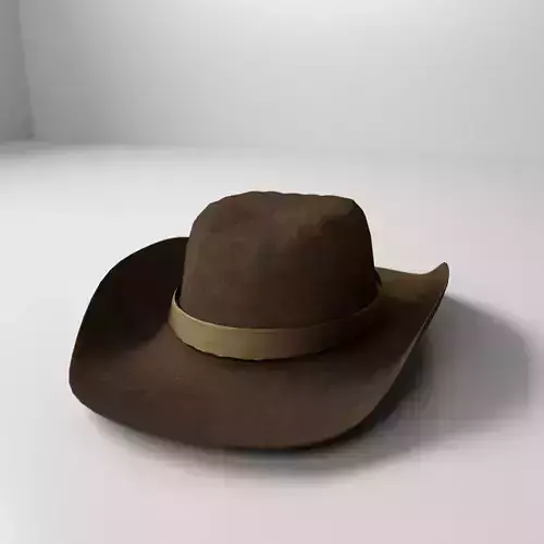 Cowboy Hat