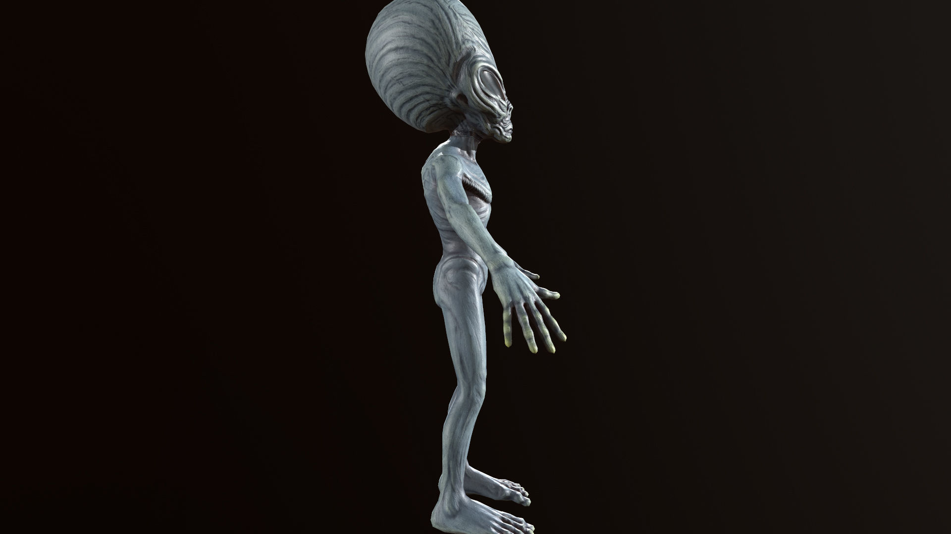 Alien Gray Low-poly 3D model_12
