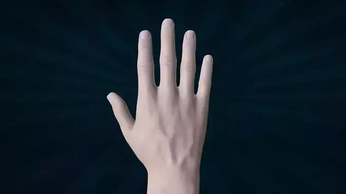 HAND-016 Rigged Right Hand 3D model