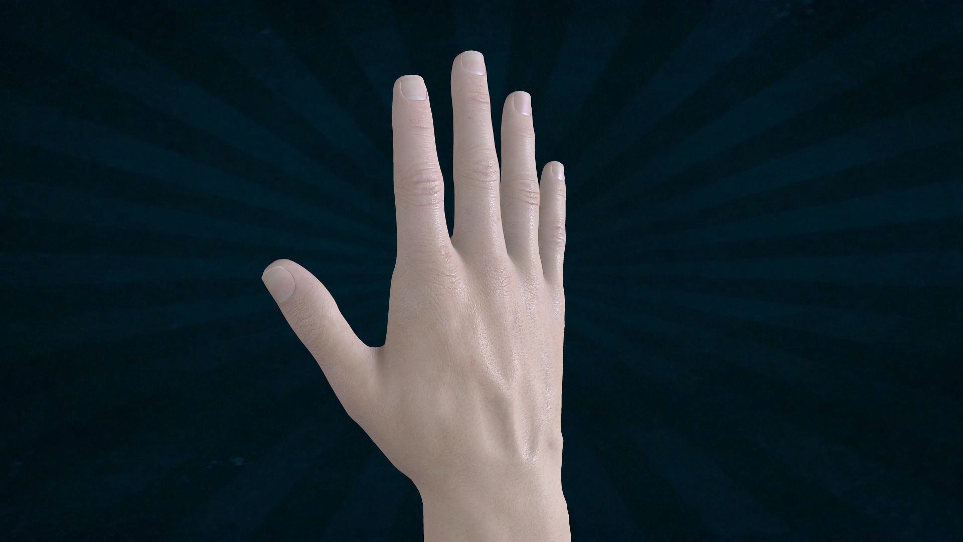 HAND-016 Rigged Right Hand 3D model_3