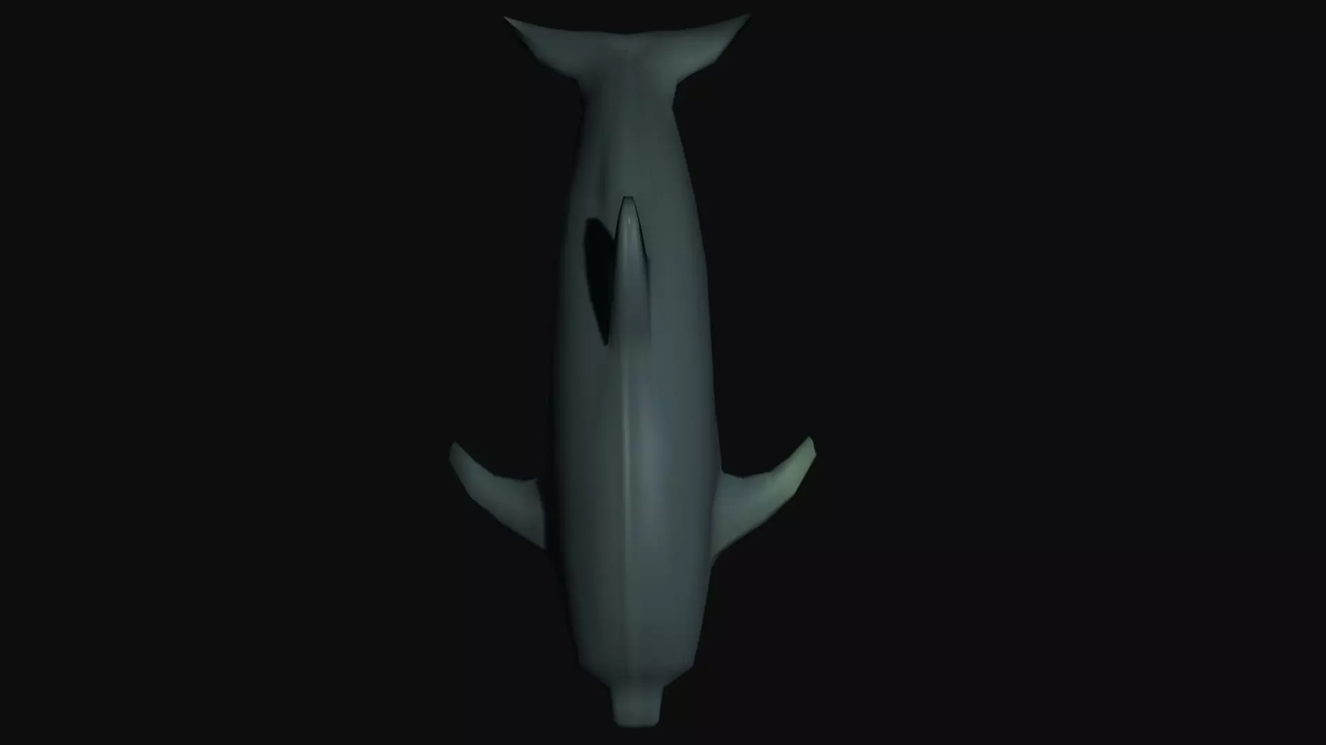 Dolphin 3D model_0