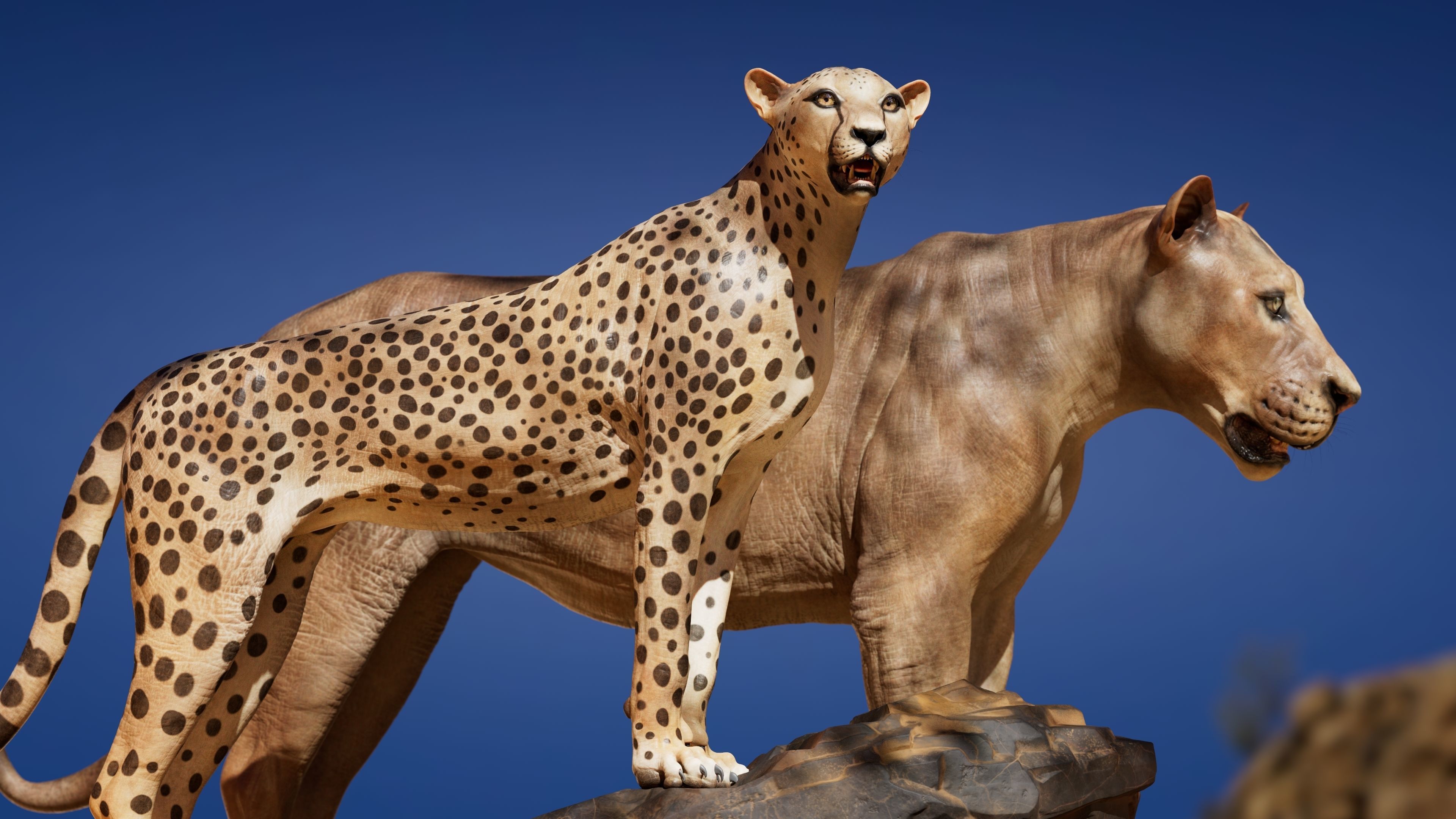 Lion and Cheetah - Digital Model and Textures Low-poly 3D model_3