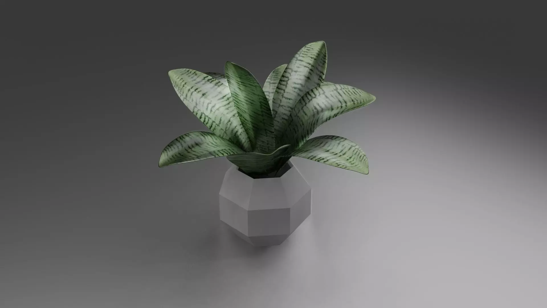 Leave Pot Free 3D model